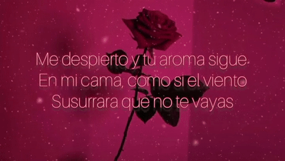 Visionary - Una Rosa Para Ti