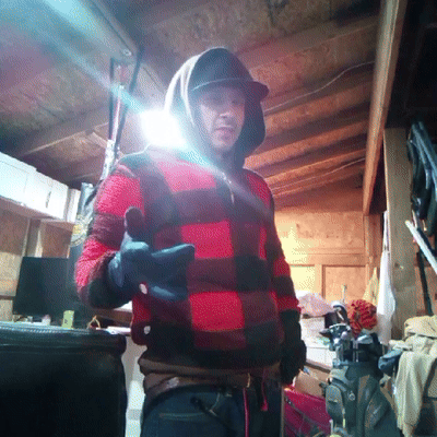 Jester