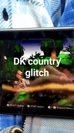 DK Monkey Rap lol jk its a,glitch 