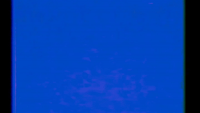 sason(video)