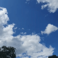 dwestwelleihrficker