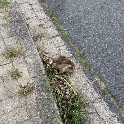 Habe ich noch nie erlebt…