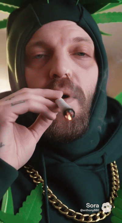 rapping pot plant 