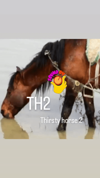 TH2