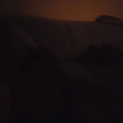 tanzt ihr nutten 😉
