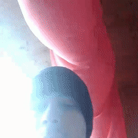 лови удачу