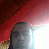 принимаю сказанное