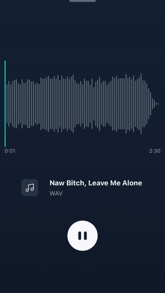 Naw Bitch, Leave Me Alone