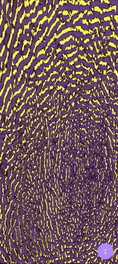 Rio Remix Visualizer 