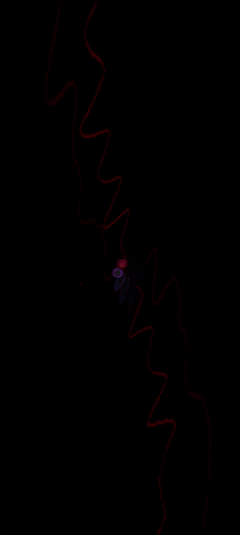 What