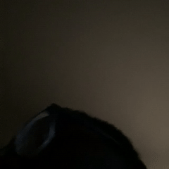 Acapella (No Sound) (11:40:47)