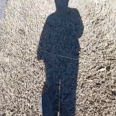 walk to GA 