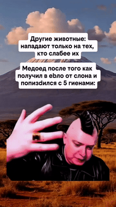 медоед