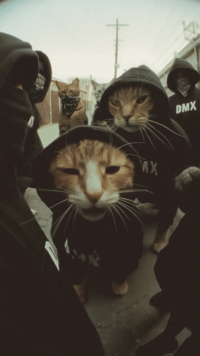 HOODLIFE