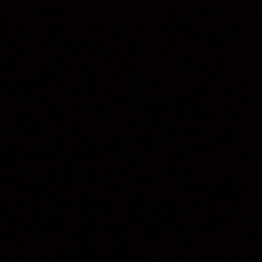 shit bulle #8  