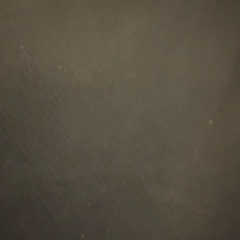 Club (Video)