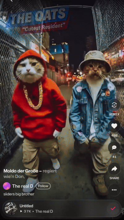 cool qats 