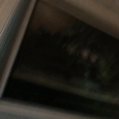 rdcccçç in