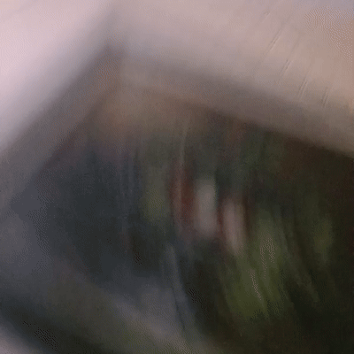 to bit