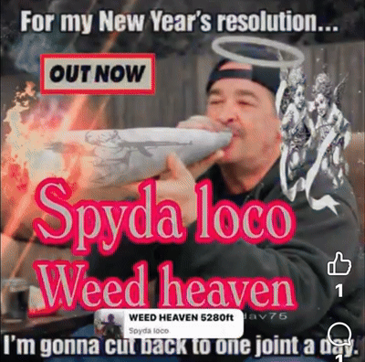weed heaven out now on all digital platforms 