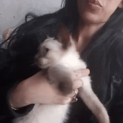 effy tw toca! 