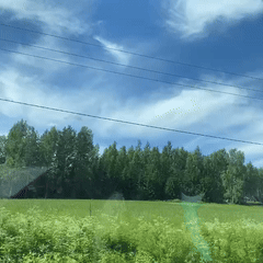 elämä