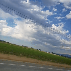 road trip 