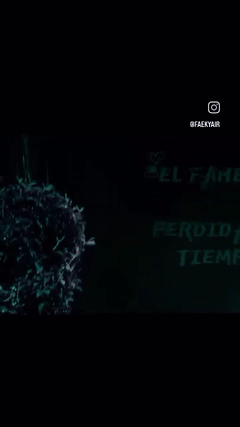 PERDIDA DE TIEMPO