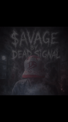 $avage (lyric video)
