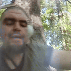 chilling in the woods 