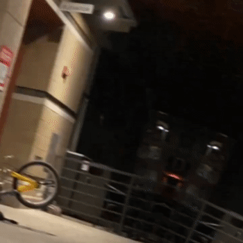 Ride It Like It’s Stolen
