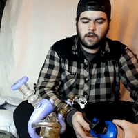 Judgement Day Dabs