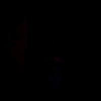 www. 