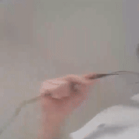 videoYoung_13-04