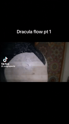DRAK FLOW ๐๐คฃ๐ง๐ผ
