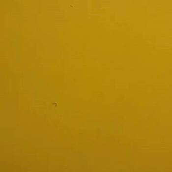 Tabasko