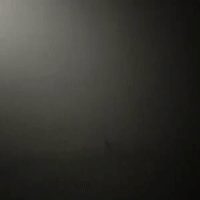 videoMona _23-19
