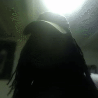 freestyle in my studio