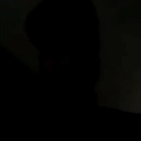 freestyle
