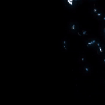 snippet