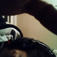 Foul Mask