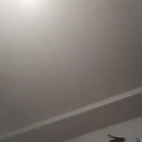  ha ha 