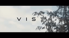 La vista 