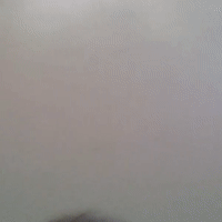 Testversion mic
