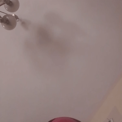 freestyle neues