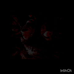 Metamorfosis