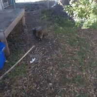 TIME FOR YARD WORK