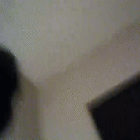 gang gang gang gang gang kanken