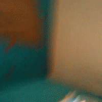 videoPanic_16-56