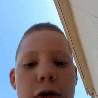 school